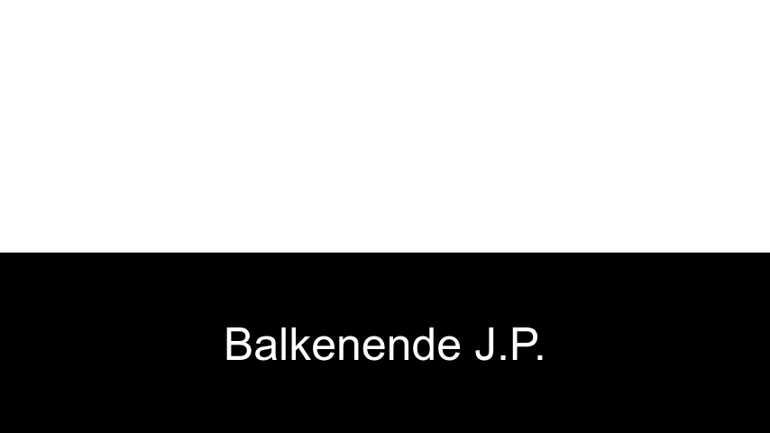 livres de Balkenende J.P.