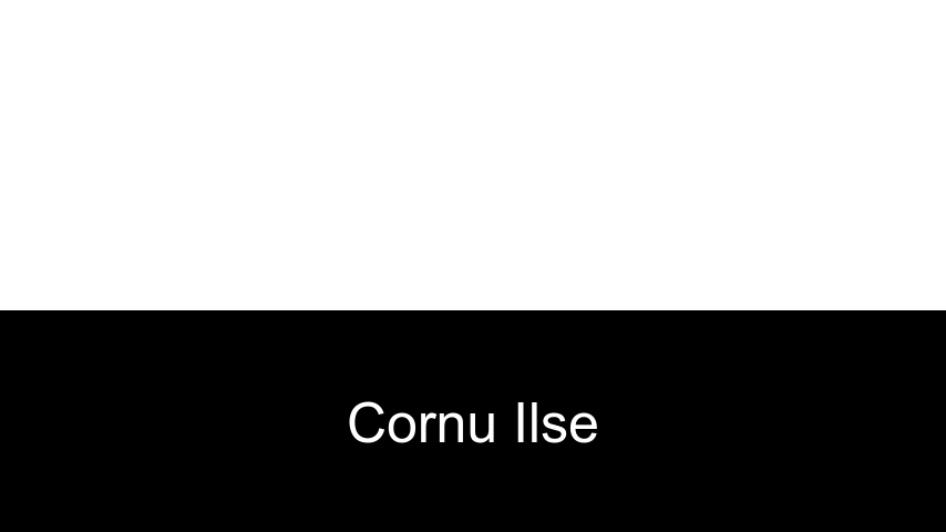 livres de Cornu Ilse
