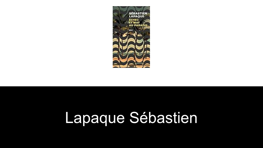 livres de Lapaque Sébastien