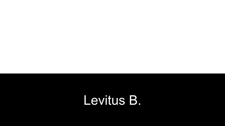 livres de LeVitus B.
