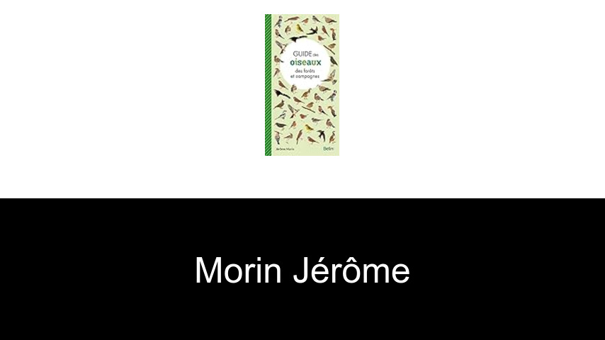 livres de Morin Jérôme