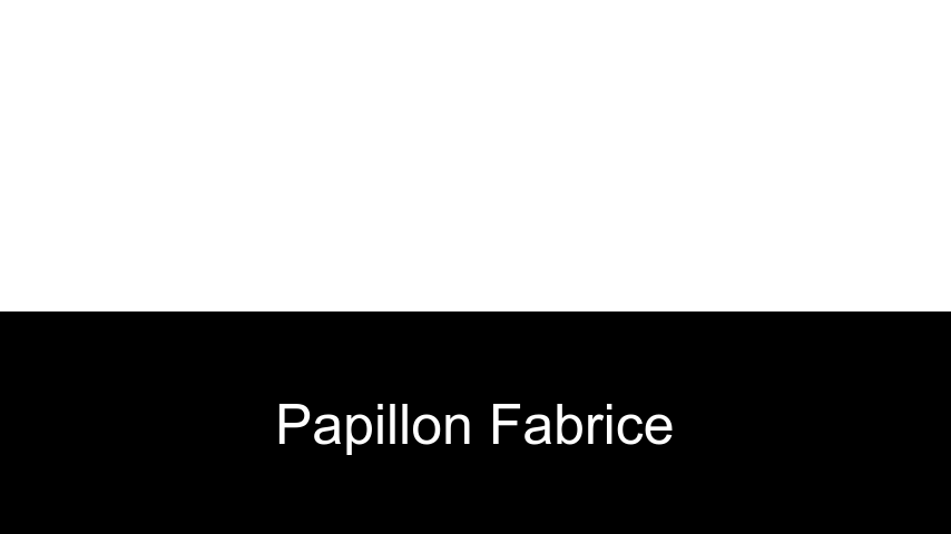 livres de Papillon Fabrice