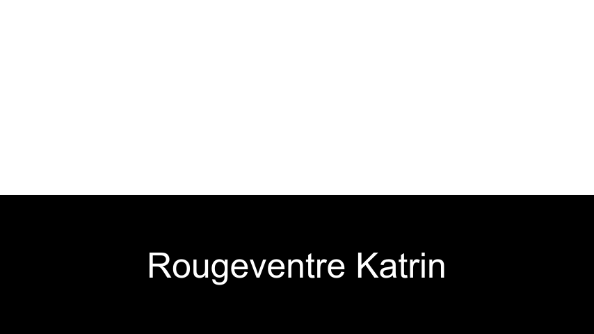 livres de Rougeventre Katrin